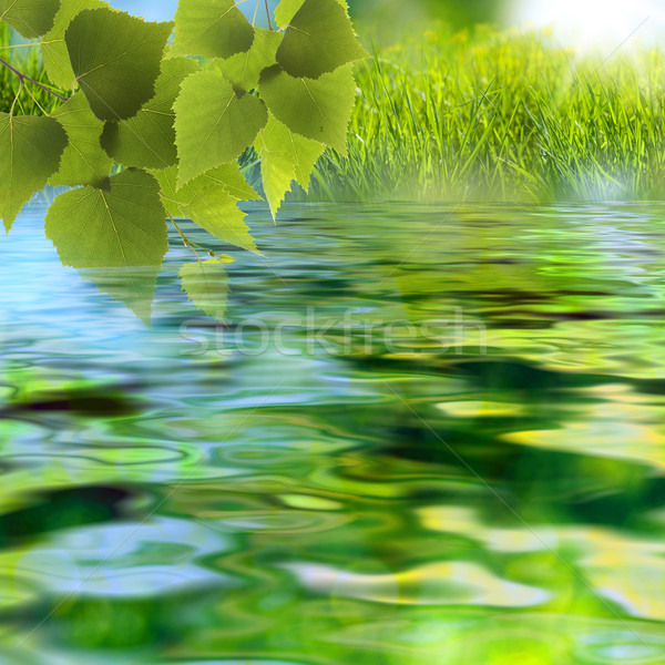 On the lake. Abstract summer backgrounds Stock photo © tolokonov