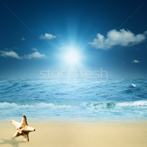 On the ocean. Abstract natural backgrounds for your design Stock photo © tolokonov