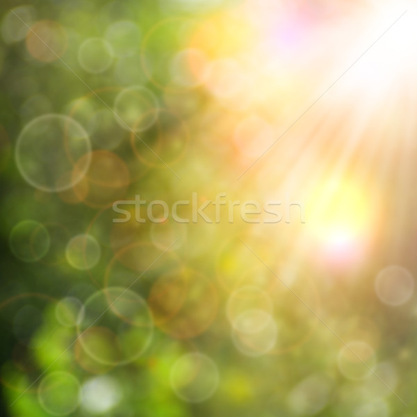 Stock photo: Abstract naturak backgrounds for your design
