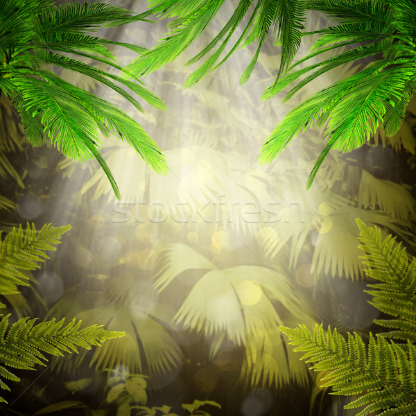 Early morning in the tropical forest. Abstract natural backgroun Stock photo © tolokonov