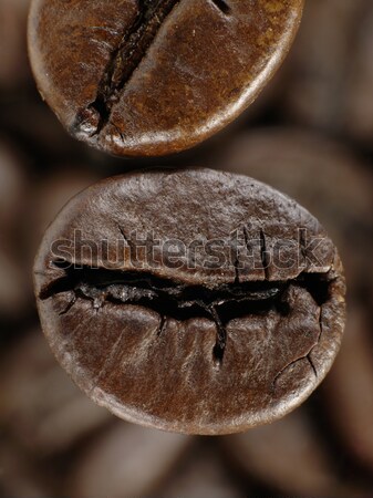 Kávébab mély árnyékok magvak kávé fekete Stock fotó © tolokonov