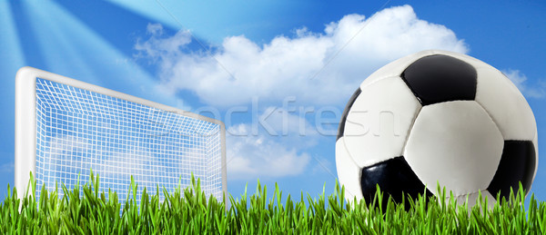 abstract football or soccer backgrounds Stock photo © tolokonov