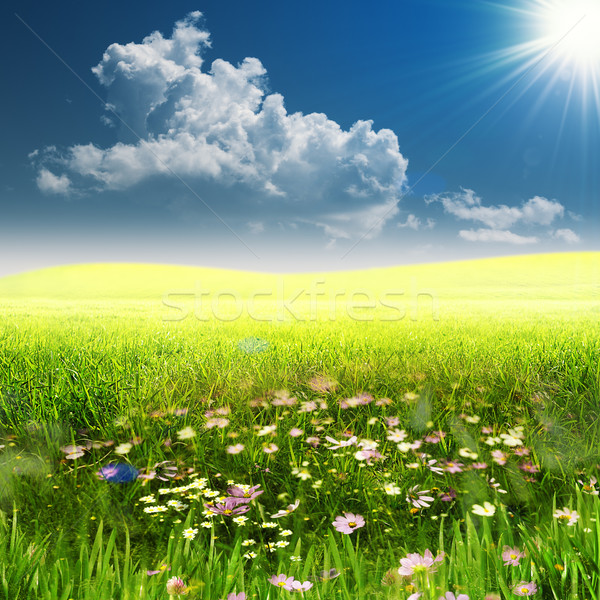 ストックフォト: 草原 · 夏 · 自然 · 風景 · コピースペース · ツリー