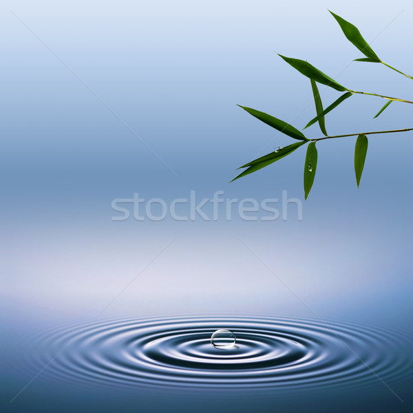 Streszczenie środowiskowy środowisk bambusa wody kropelka Zdjęcia stock © tolokonov