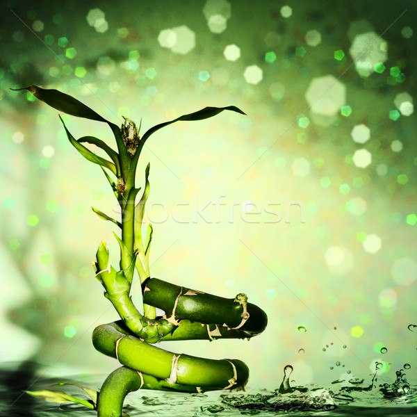Waterdruppels bamboe natuurlijke achtergronden licht kunst Stockfoto © tolokonov
