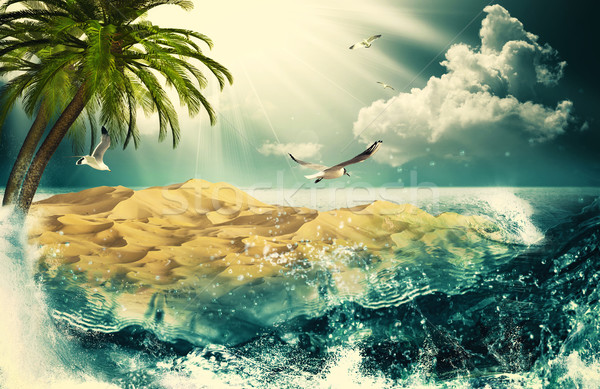 美女 海洋 自然 背景 設計 水 商業照片 © tolokonov