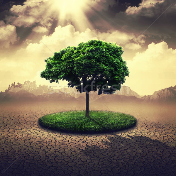 Save the Earth. Abstract environmental backgrounds for your desi Stock photo © tolokonov