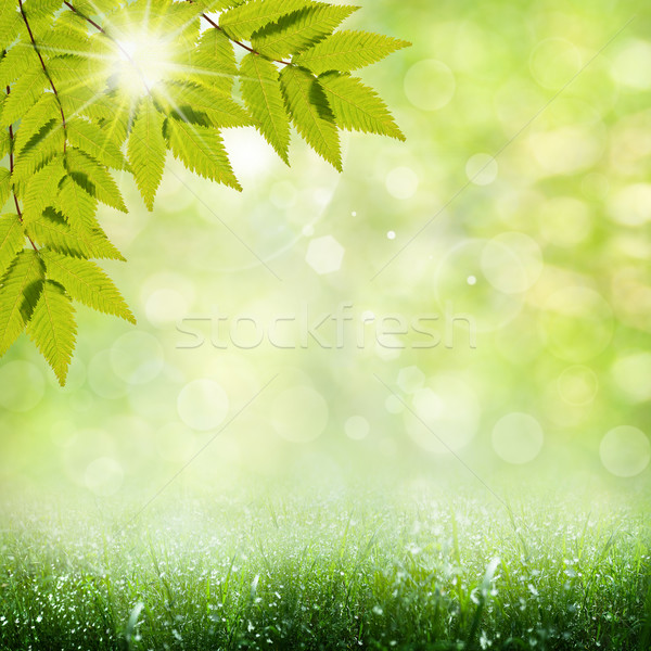 Sommer Zeit abstrakten optimistisch Hintergrund Frühling Stock foto © tolokonov