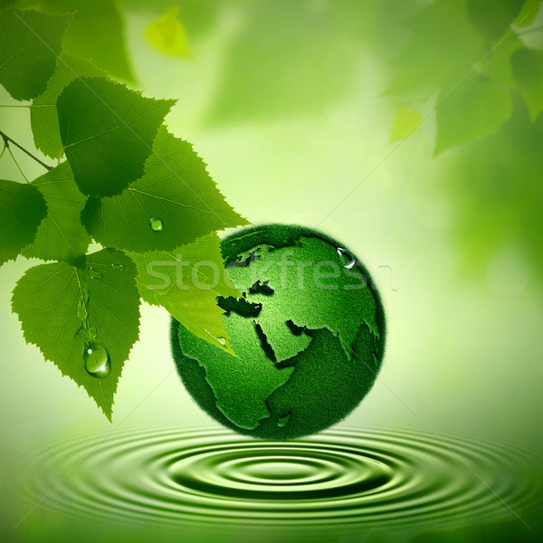 Verde terra abstrato ambiental fundos água Foto stock © tolokonov