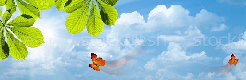 Butterfly. Blue skies with bright sun as abstract backgrounds Stock photo © tolokonov
