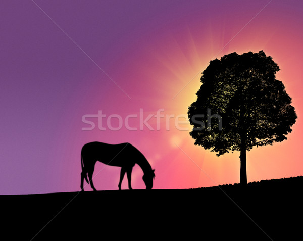 fantastic morning over the hills, abstract backgrounds Stock photo © tolokonov