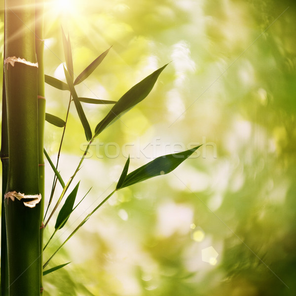 Streszczenie asian środowisk projektu liści ogród Zdjęcia stock © tolokonov