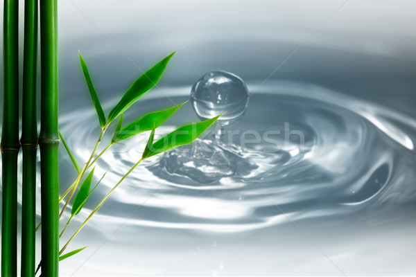 water droplets and bamboo. natural backgrounds Stock photo © tolokonov