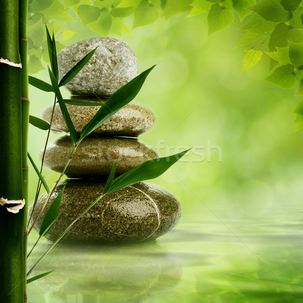 Stok fotoğraf: Doğal · zen · arka · bambu · yaprakları · çakıl
