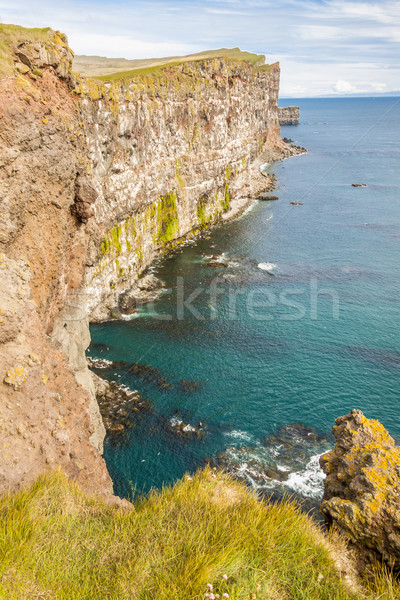 Latrabjarg cliffs - Iceland. Stock photo © tomasz_parys