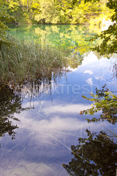 清浄水 ユネスコ 公園 青 クロアチア 水 ストックフォト © tomasz_parys