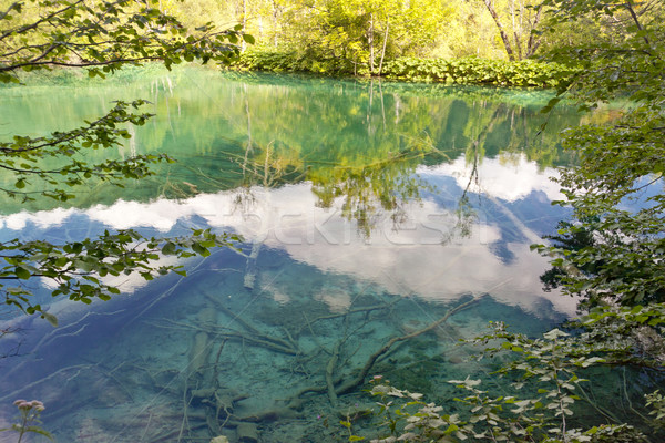 Reflect in Plitvice lakes - Croatia. Stock photo © tomasz_parys