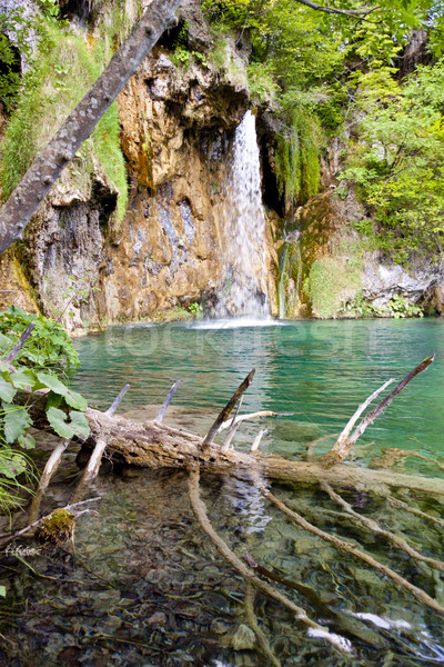 Waterfall - Plitvice lakes. Stock photo © tomasz_parys
