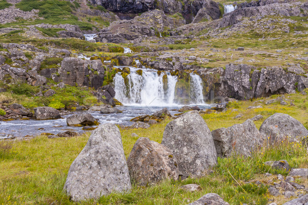 急速 川 アイスランド 表示 自然 ストックフォト © tomasz_parys