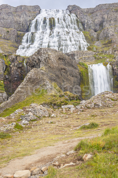 Cachoeira Islândia grande beleza grama paisagem Foto stock © tomasz_parys