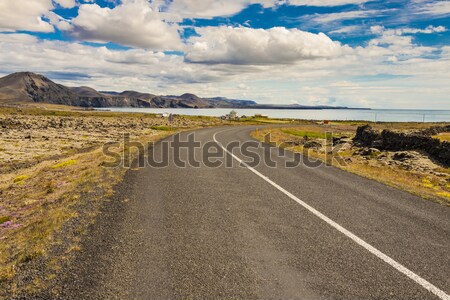 Empty route to Grindavik - Iceland Stock photo © tomasz_parys