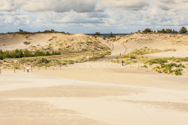 Entrance to dunes in Leba. Stock photo © tomasz_parys