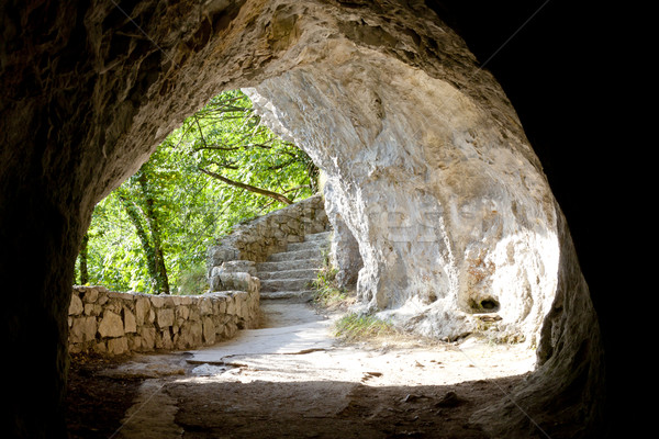 Tunnel in Plitvice lakes - Croatia. Stock photo © tomasz_parys