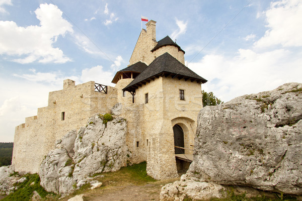 Silesia region - Bobolice Castle. Stock photo © tomasz_parys
