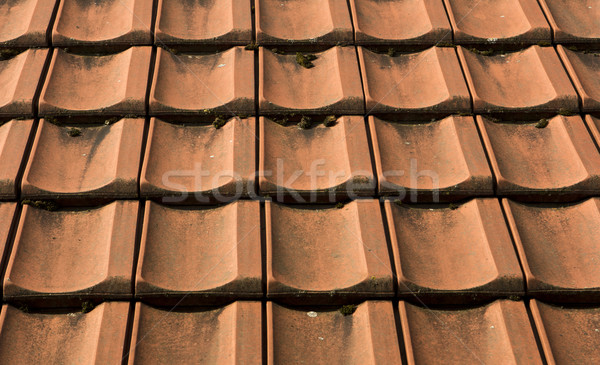 Dach Fliesen rot benutzt Haus Fliese Stock foto © Tomjac1980