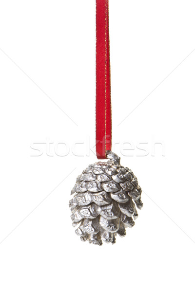 Stock photo: pine cones gray