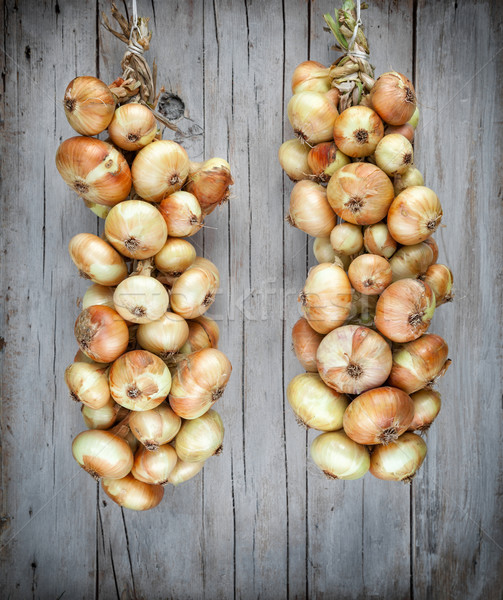 Organic onion bound together hanging on a string Stock photo © tommyandone
