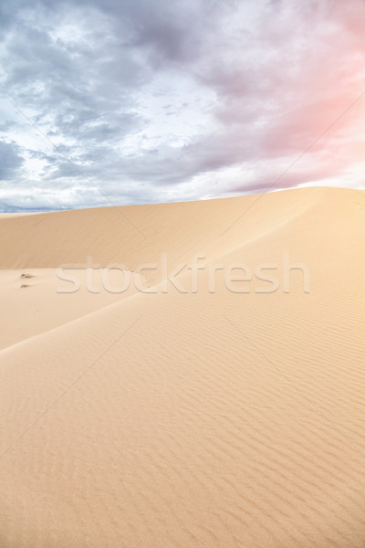 White sand dunes in Mui Ne, Vietnam Stock photo © tommyandone