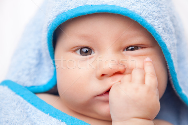 Beautiful newborn wrapped in a blanket Stock photo © tommyandone