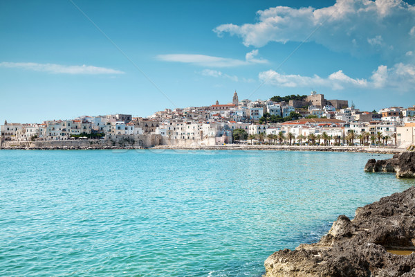 Old seeside town of Vieste in  Italy Stock photo © tommyandone
