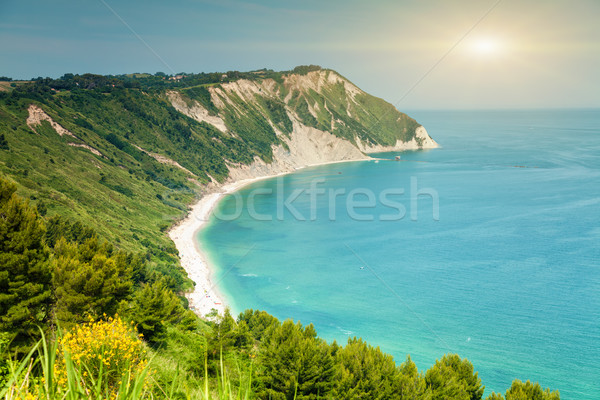 Italian beach from a viewpoint  Stock photo © tommyandone