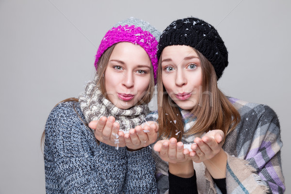 Tweeling zusters warm winter kleding portret Stockfoto © tommyandone