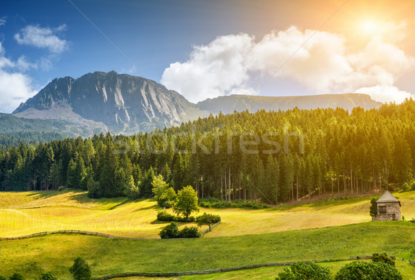 Colorful Alpine scenery with sun setting down Stock photo © tommyandone