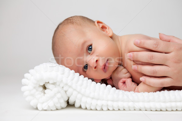 Bonitinho recém-nascido bebê cobertor branco criança Foto stock © tommyandone