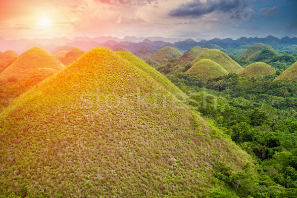 Stockfoto: Mooie · chocolade · heuvels · Filippijnen · landschap · landschap