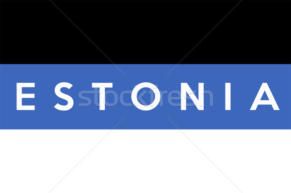 Bandera Estonia grande tamaño ilustración país Foto stock © tony4urban