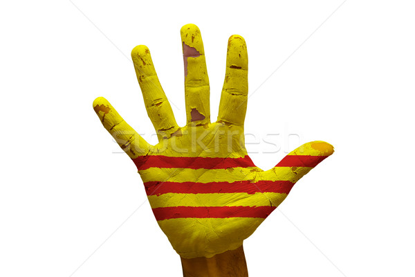 Palma bandera sur Vietnam hombre mano Foto stock © tony4urban