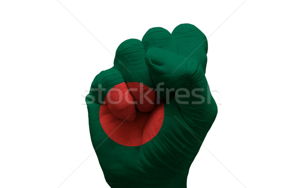 fist flag Stock photo © tony4urban