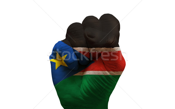 Banderą pięść człowiek strony malowany kraju Zdjęcia stock © tony4urban
