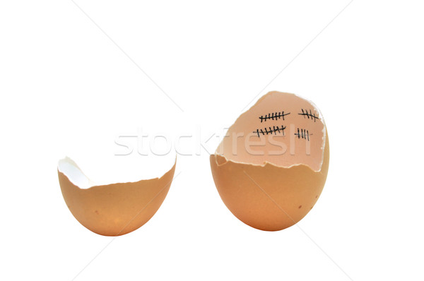 Frango paciência galinha pássaro bebê casca de ovo Foto stock © tony4urban