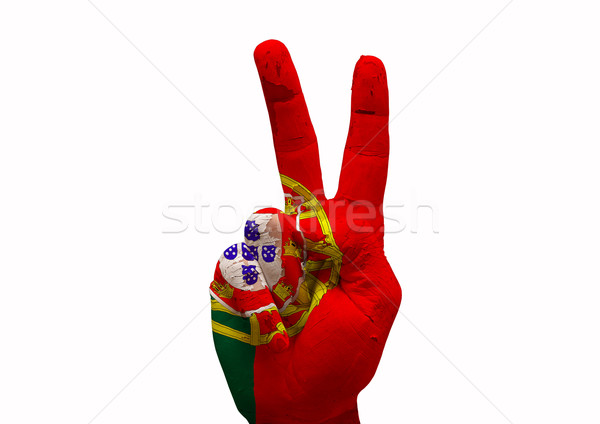 Kéz készít felirat vidék zászló festett Stock fotó © tony4urban