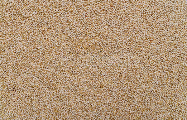 white chia seeds texture Stock photo © tony4urban