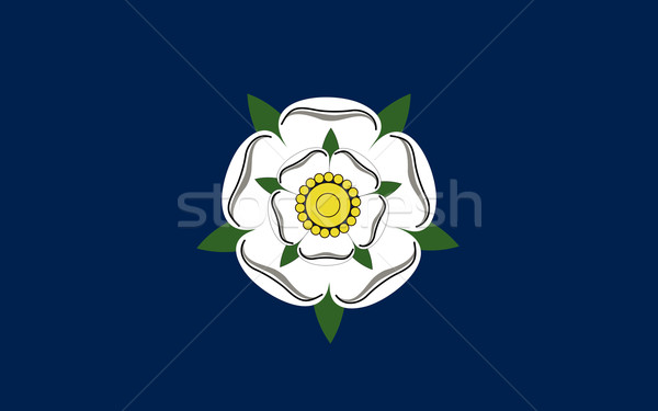 Yorkshire bandeira pessoas étnico inglaterra país Foto stock © tony4urban