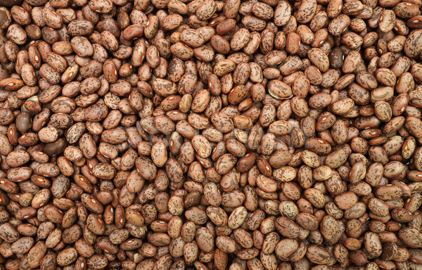 Pinto Beans texture Stock photo © tony4urban