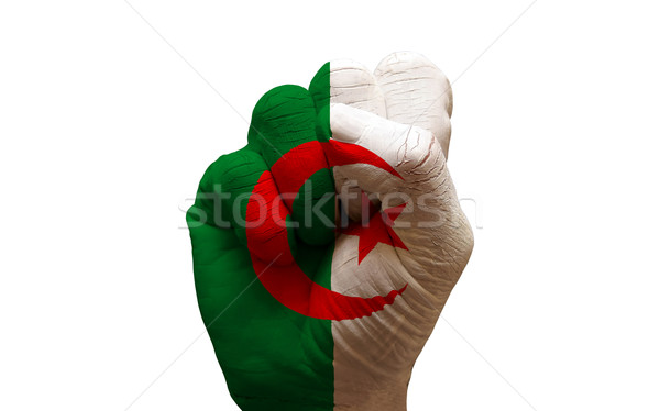 Pięść banderą człowiek strony malowany Zdjęcia stock © tony4urban