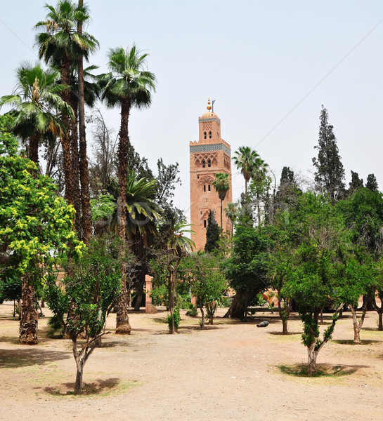 Koutoubia Mosque garden Stock photo © tony4urban